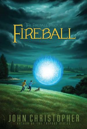 Cover of the book Fireball by Tyler Wandschneider