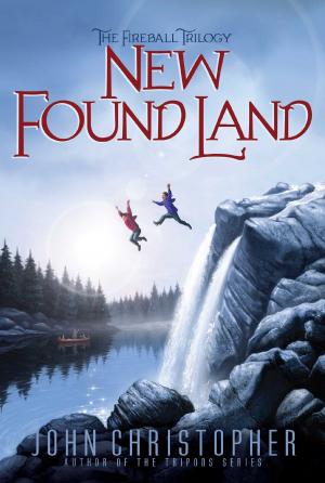 Cover of the book New Found Land by Lois Ruby