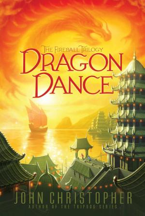 Cover of the book Dragon Dance by R.L. Stine