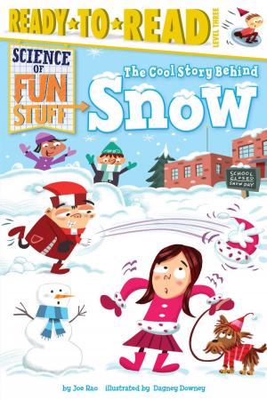 Book cover of The Cool Story Behind Snow