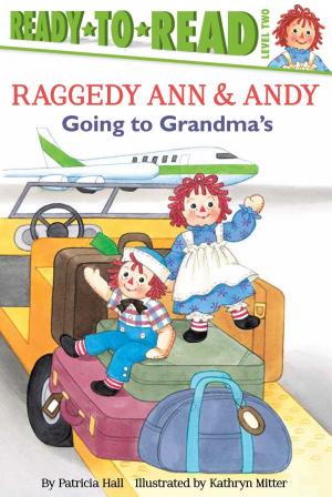 Book cover of Going to Grandma's