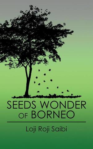 Cover of the book Seeds Wonder of Borneo by Lucy Lewandowski