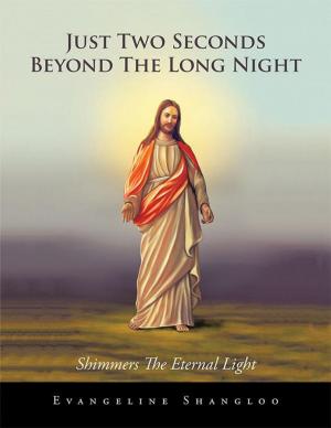 Cover of the book Just Two Seconds Beyond the Long Night by Amit K Choudhury