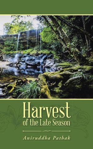 Cover of the book Harvest of the Late Season by Margaux J. Detterer
