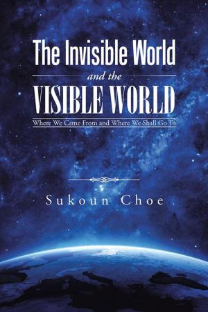 Cover of the book The Invisible World and the Visible World by Mukta Arya