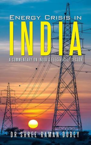 Cover of the book Energy Crisis in India by Palakh Ashok Jain