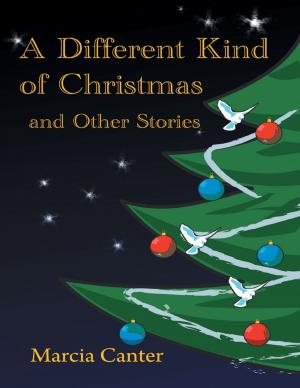 Book cover of A Different Kind of Christmas and Other Stories
