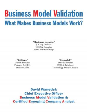 Cover of the book Business Model Validation: What Makes Business Models Work? by Thorton Paul