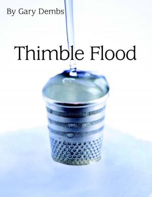 Cover of the book Thimble Flood by Misty Reddington