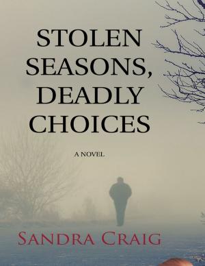Cover of the book Stolen Seasons, Deadly Choices by John Berry