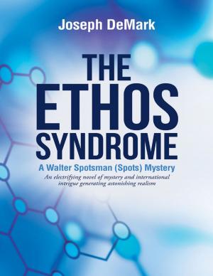 bigCover of the book The Ethos Syndrome by 
