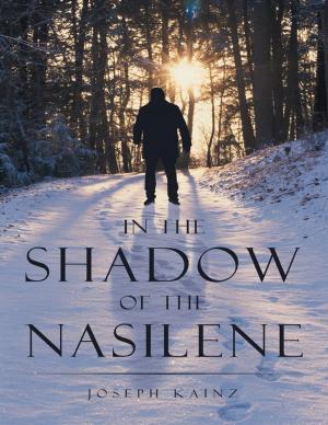 Cover of the book In the Shadow of the Nasilene by Tracy Thomas