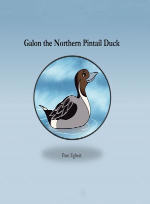 Book cover of Galon the Northern Pintail Duck