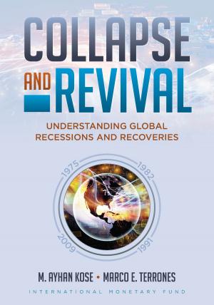 Cover of the book Collapse and Revival by International Monetary Fund. Asia and Pacific Dept
