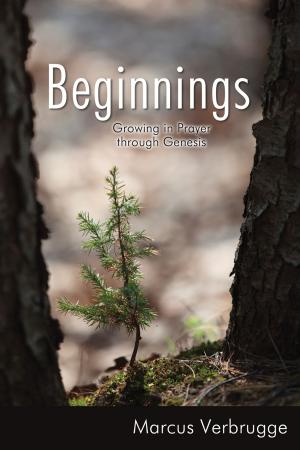 Cover of the book Beginnings by Naomi Ziedins
