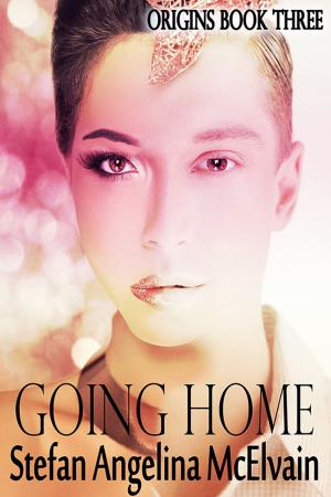 Cover of the book Going Home by Stefan Angelina McElvain