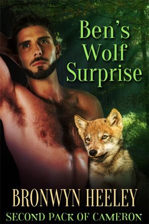 Cover of the book Ben’s Wolf Surprise by A.J. Matthews