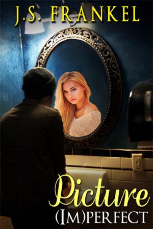 Cover of the book Picture (Im)perfect by Valarie Prince