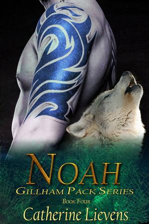 Cover of the book Noah by Caitlin Ricci, A.J. Marcus