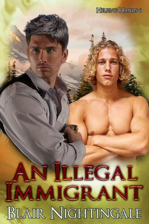 Cover of the book An Illegal Immigrant by Brian Curtin