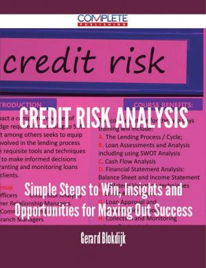 Book cover of Credit Risk Analysis - Simple Steps to Win, Insights and Opportunities for Maxing Out Success