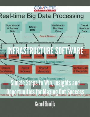 Cover of the book Infrastructure Software - Simple Steps to Win, Insights and Opportunities for Maxing Out Success by Sarah Holmes