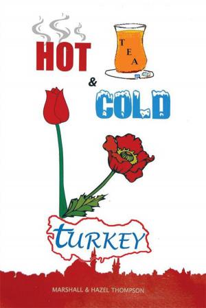 Cover of the book Hot and Cold Turkey by Syed Asif Razvi