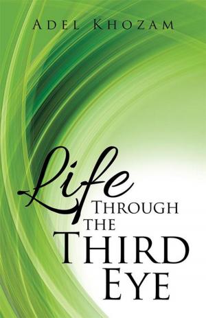 Cover of the book Life Through the Third Eye by John A. Naulin