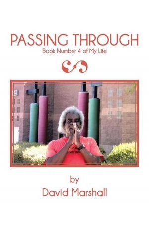 Cover of the book Passing Through by Dick Grannan