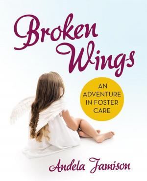 bigCover of the book Broken Wings by 