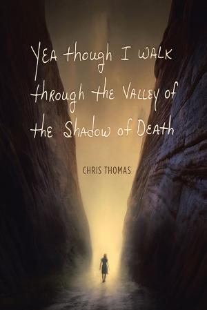 Cover of the book Yea Though I Walk Through the Valley of the Shadow of Death by Dawn Marie Nappi