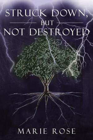 Cover of the book Struck Down, but Not Destroyed by Claire A. Patterson M. Ed.