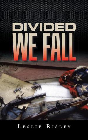Cover of the book Divided We Fall by Derek Hart