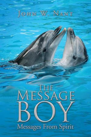 bigCover of the book The Message Boy by 