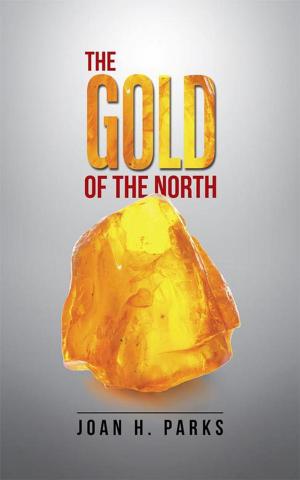 bigCover of the book The Gold of the North by 