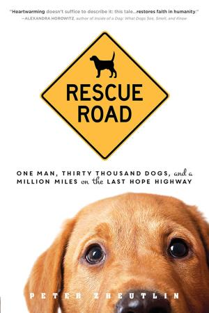 Cover of the book Rescue Road by Sheryl Berk, Carrie Berk