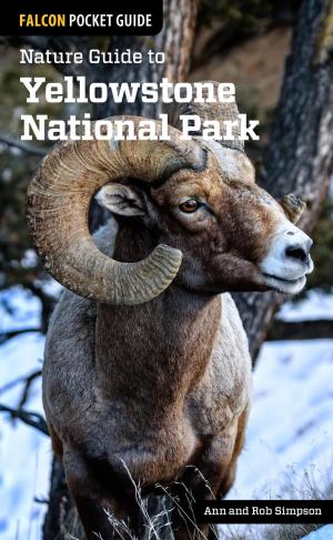 bigCover of the book Nature Guide to Yellowstone National Park by 