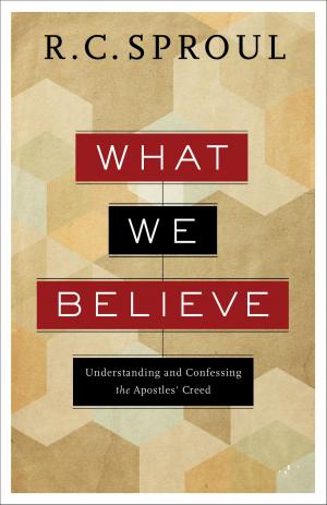 Cover of the book What We Believe by Lee C. Camp