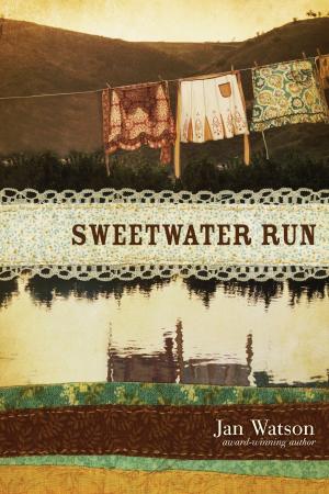 Book cover of Sweetwater Run