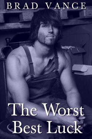 Cover of the book The Worst Best Luck by S. M. Huggins