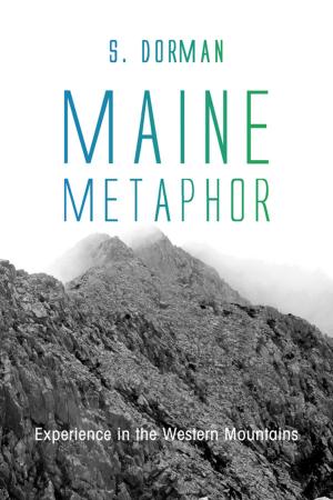 Cover of the book Maine Metaphor by Jeff Carter