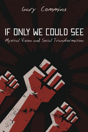 Cover of the book If Only We Could See by David E. Fitch