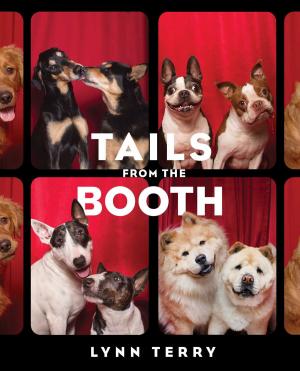 Cover of the book Tails from the Booth by J.R. Ward