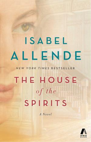 Cover of the book The House of the Spirits by Diane Eichenbaum