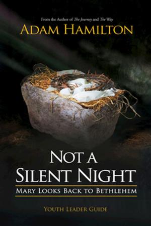 Cover of the book Not a Silent Night Youth Leader Guide by James K. Wellman, Jr.