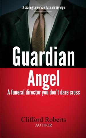 Cover of the book Guardian Angel by Evandro Castro
