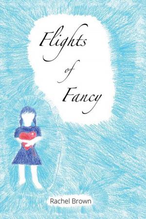 Cover of the book Flights of Fancy by Stephen Charles James