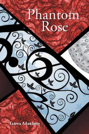 Cover of the book Phantom Rose by Rob Dircks