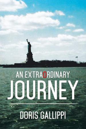 Cover of the book An Extraordinary Journey by The Messenger