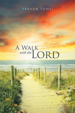 Cover of the book A Walk with the Lord by Barry Jablonski
